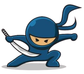Ninja Coding Pro mascot